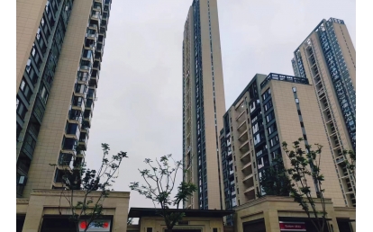 东湖金茂府（武汉）